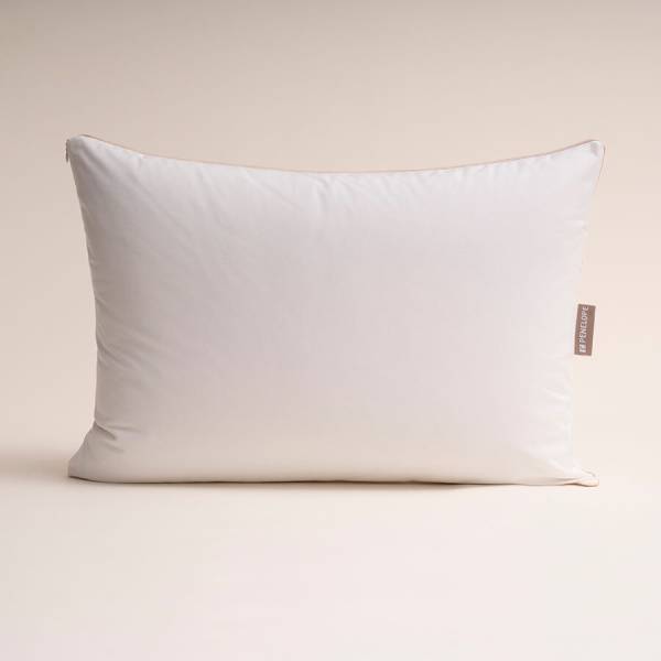 Penelope Cotton Combed Water Proof Pillow Protector (2 Pieces)