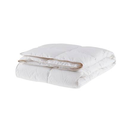 Penelope Dove 6.5 Tog Goose Down Comforter Single - Thumbnail